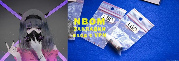 стаф Аркадак