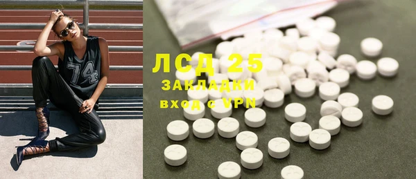 стаф Аркадак