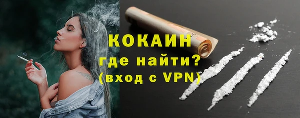стаф Аркадак