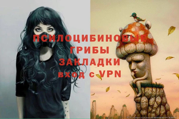 кокс Армянск