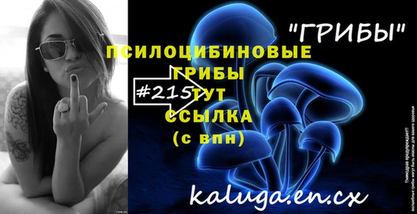стаф Аркадак